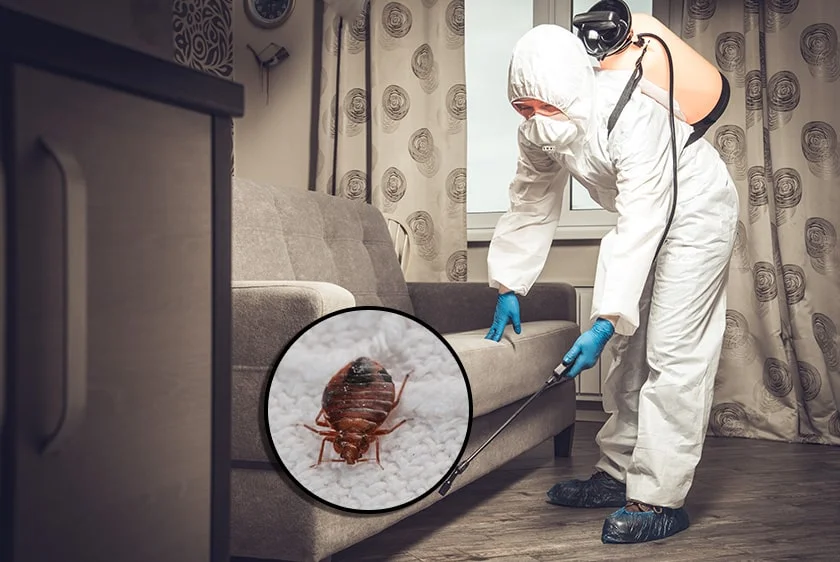 Post-Treatment Follow-Up in Evanston, IL