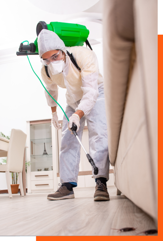 Pest control technician providing fly inspection and treatment